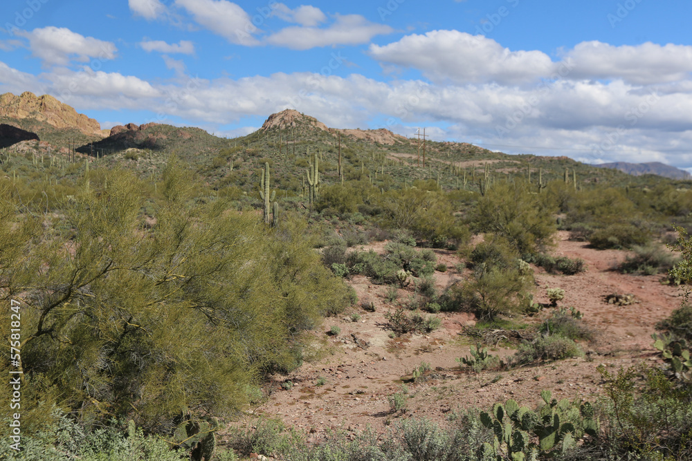 Arizona Landscape Arizona Landscape