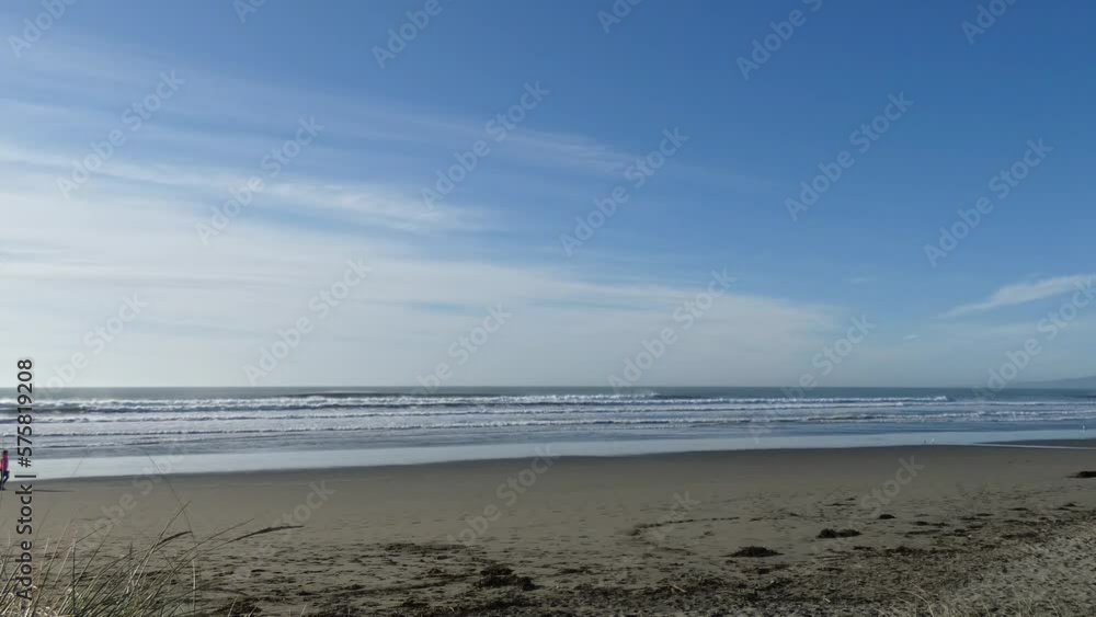 Person walks with dog on sandy beach at low-tide on a sunny day - New Brighton Beach (New Zealand) Person walks with dog on sandy beach at low-tide on a sunny day - New Brighton Beach (New Zealand)