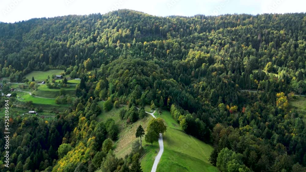 Beautiful Green Scenery in Slovenia Mountain Forest, Aerial Drone View Beautiful Green Scenery in Slovenia Mountain Forest, Aerial Drone View