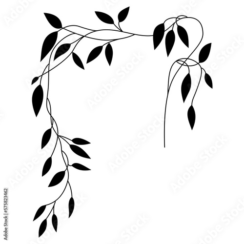 Delicate tree branch with leaves. Liana vine. Beautiful floral motif. Black silhouette on white background.