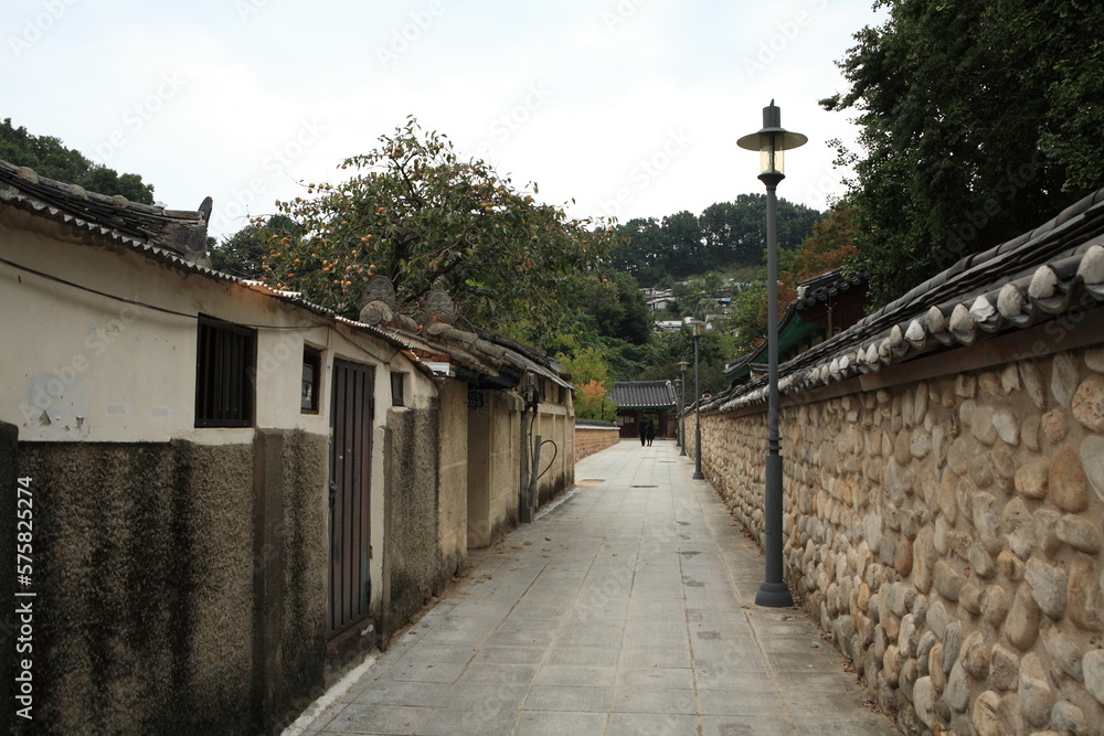 alleyway and fences