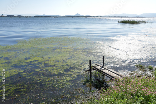 堅田　湖畔の風景　滋賀県大津市 © ogurisu
