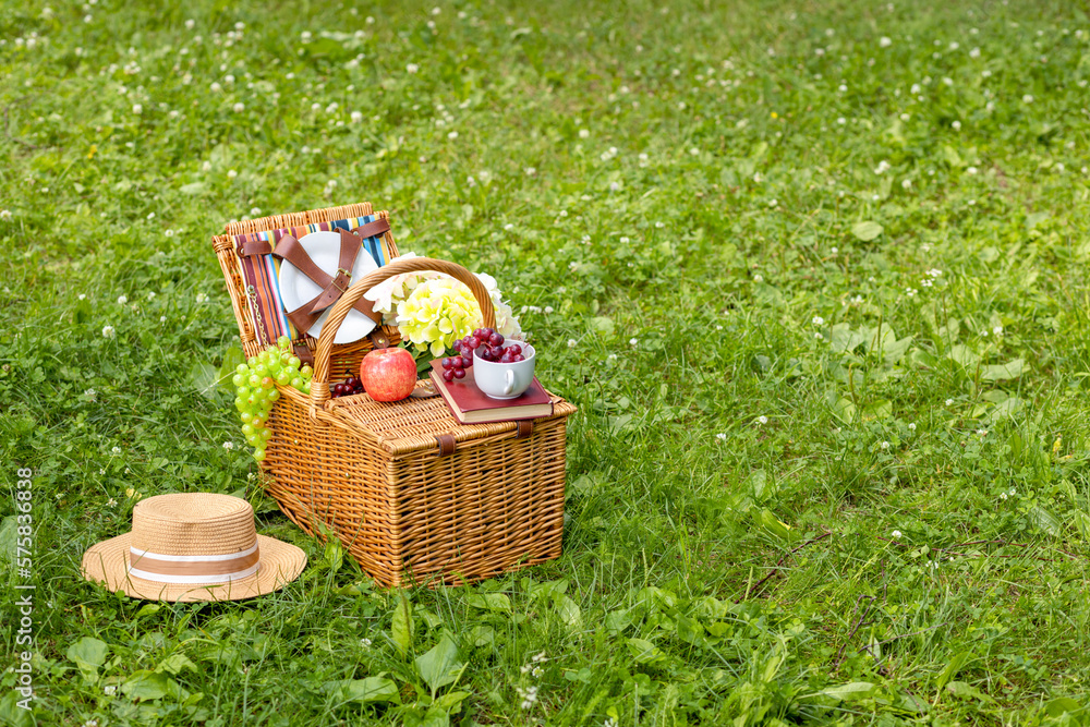 Picnic basket on green grass in the park. Delicious food for lunch outdoors. Nice summer day. Space for copy. Picnic basket on green grass in the park. Delicious food for lunch outdoors. Nice summer day. Space for copy.