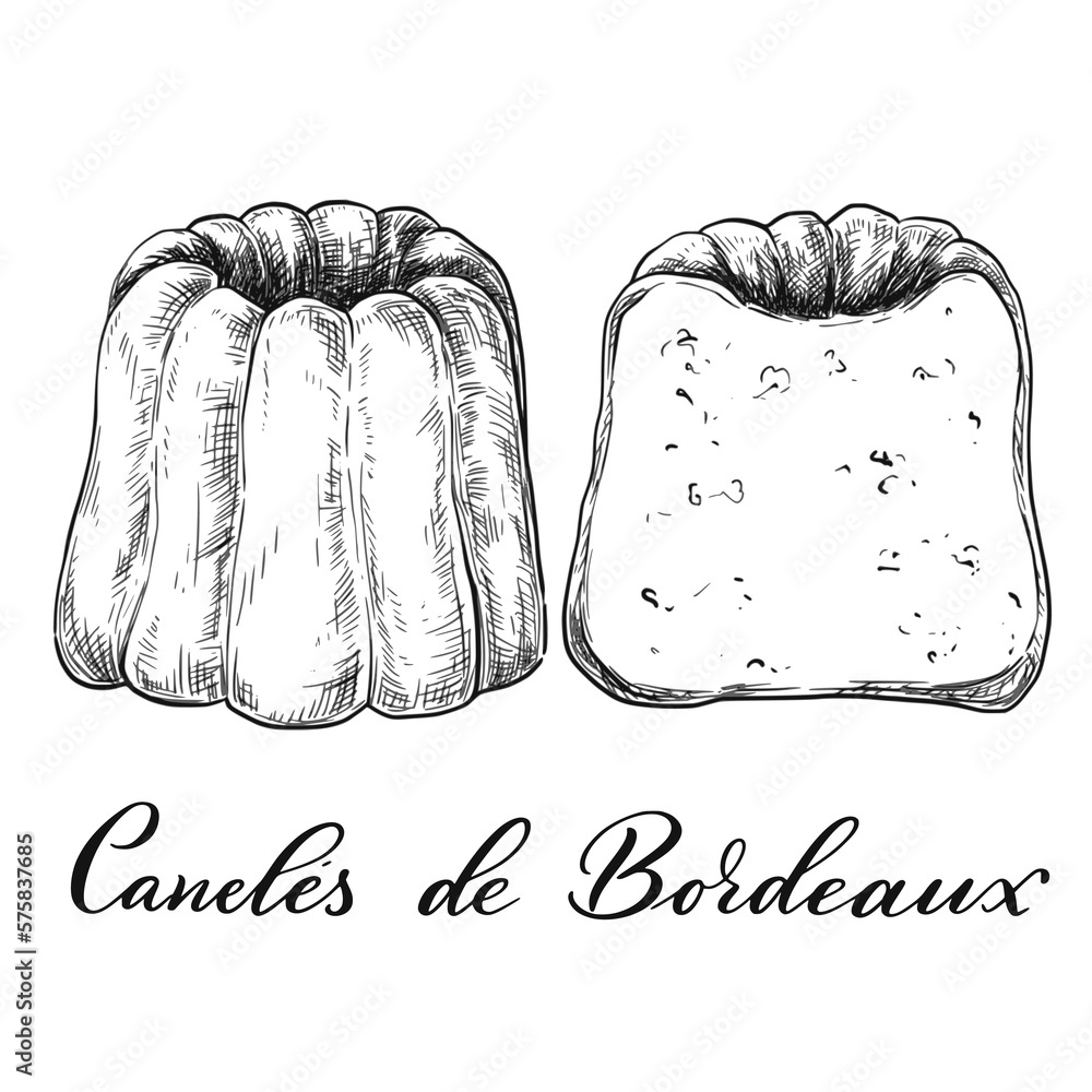 Ink sketch caneles french pastry dessert. Food vintage vector illustration. Stock Vector Adobe