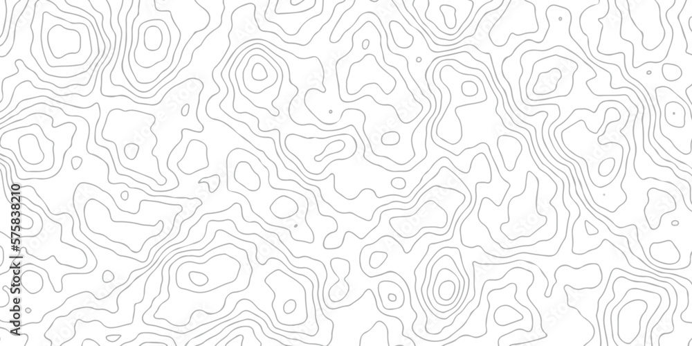 Abstract pattern with lines . Abstract Vector geographic contour map and topographic contours map background. Abstract white pattern topography vector background. Topographic line map background. Abstract pattern with lines . Abstract Vector geographic contour map and topographic contours map background. Abstract white pattern topography vector background. Topographic line map background.