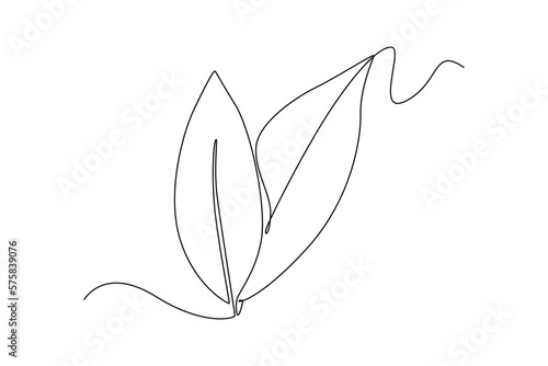 Obraz na płótnie Single one line drawing bay leaves