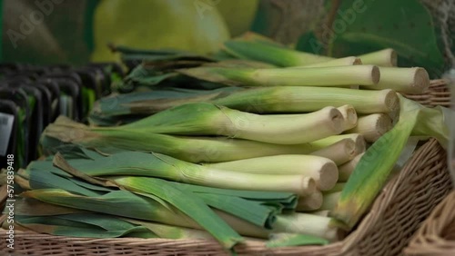 Freshly lifted leeks, allium ampeloprasum, variety Musselburgh, in a grocery hypermarket