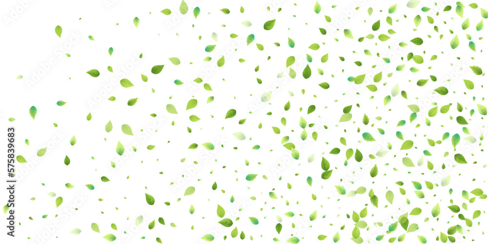 Leaves Green Falling Flying Foliage Leaf Tea Mint Leaves Green Falling Flying Foliage Leaf Tea Mint