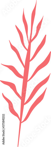 Leaves Illustration