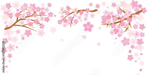 ピンクの桜の背景イラスト © Third Stone