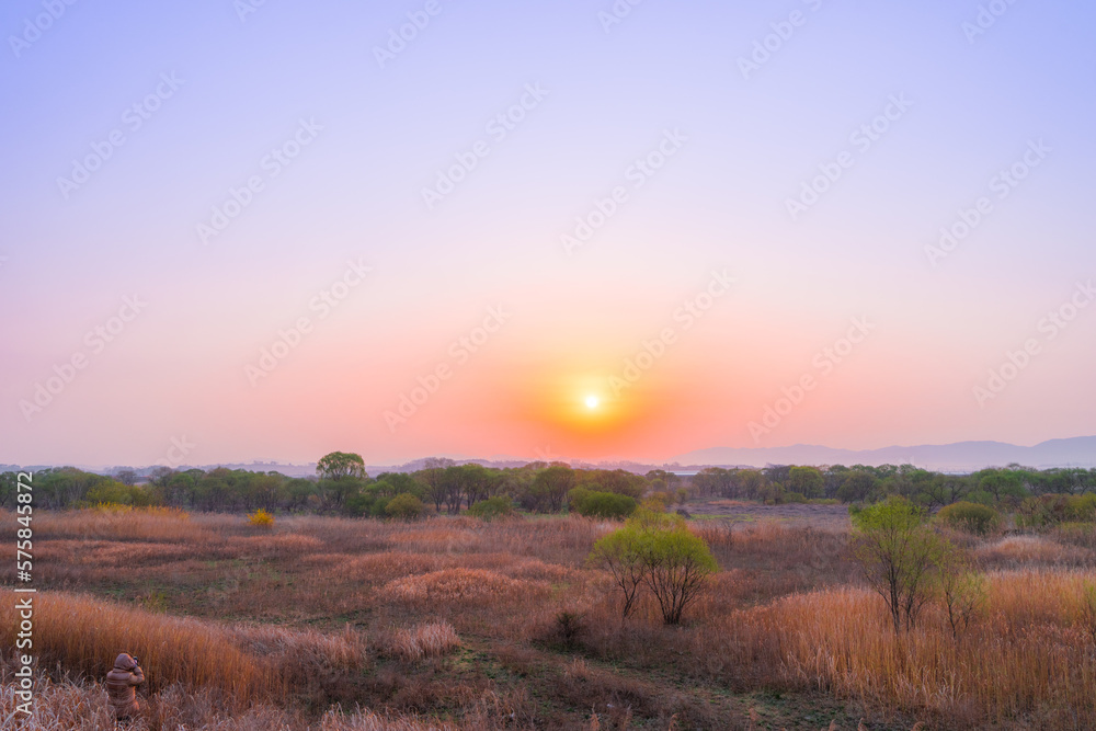 Obraz premium 습지의 봄