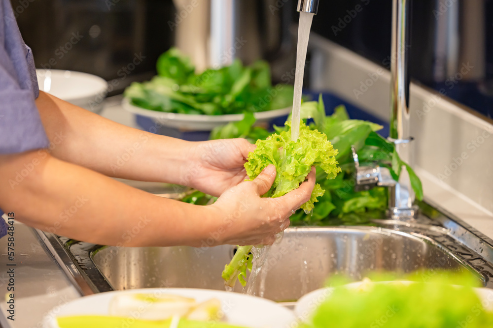Woman's hands washing lettuce leaves in sink in kitchen. Woman's hands washing lettuce leaves in sink in kitchen.