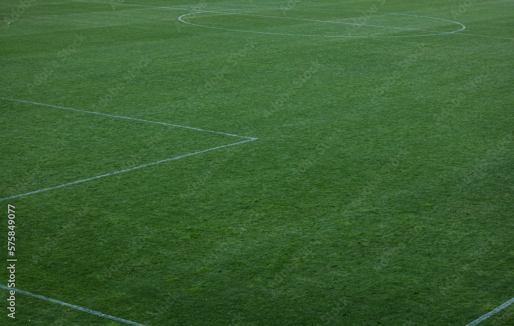 Obraz premium soccer field green.