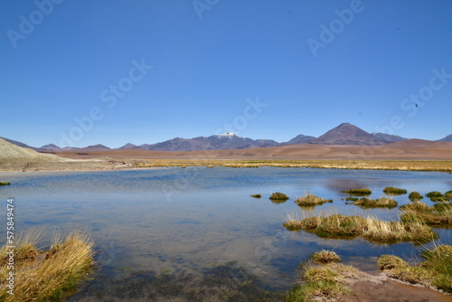 Fototapeta Naklejka Na Ścianę i Meble -  Atacama desert laguna salar panorama Andes chile south america 