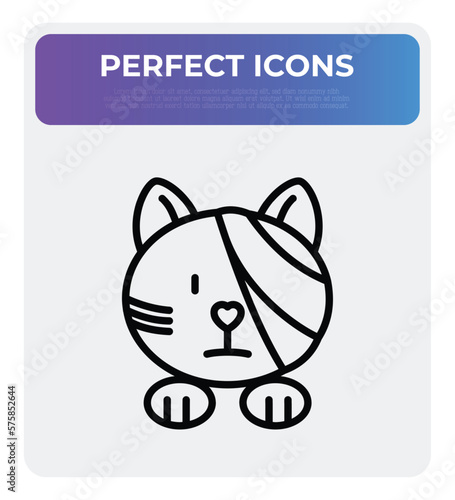 Cat injured, eye bandage. Veterinary clinic. Thin line icon, medical halp for pets. Vector illustration.