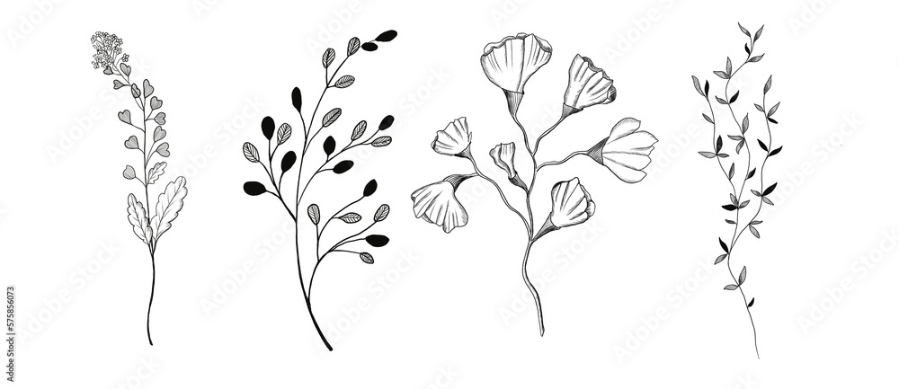 Fototapeta premium Graphic set of plants and flowers 
