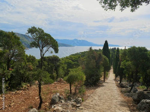 Path of pines and seaview on island