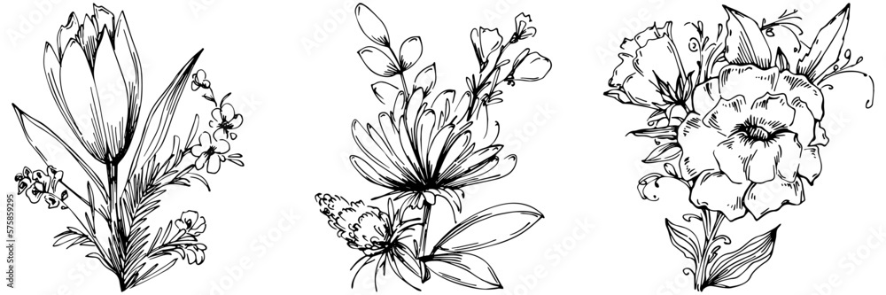 Obraz premium Line drawing flowers, wild flowers, hand drawn vector illustration.