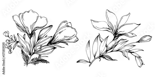 Line drawing flowers, wild flowers, hand drawn vector illustration. © samiradragonfly