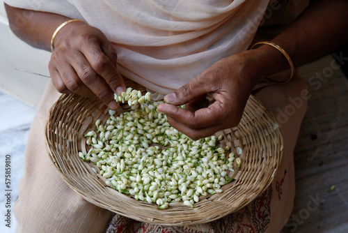 Photography Devotee making garlands at Krishna-Balaram temple, Vrindavan, Uttar Pradesh