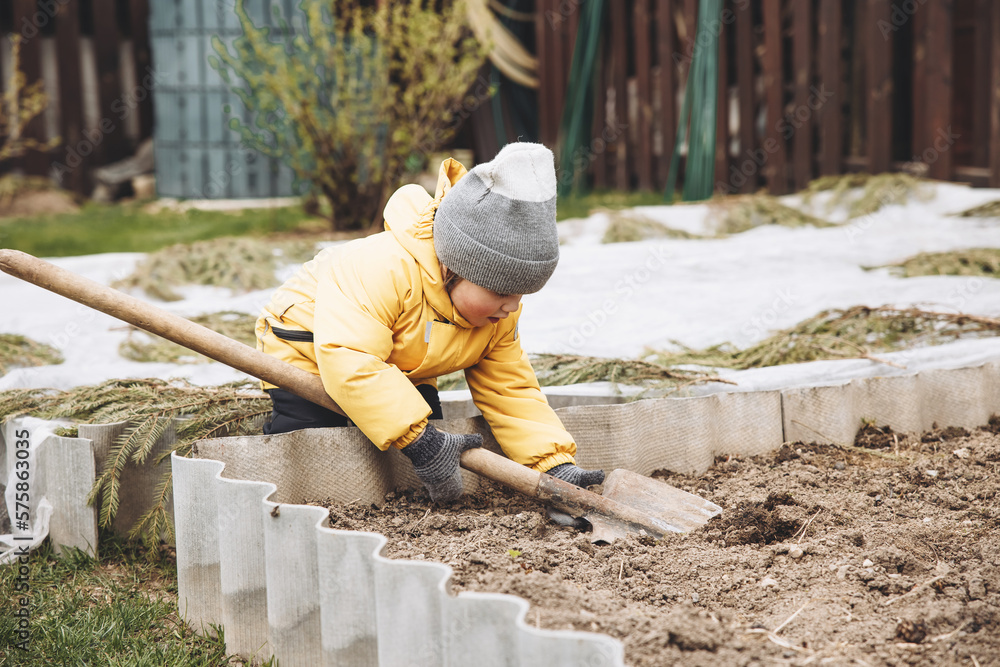Cute little boy in yellow jacket and bright rubber boots in vegetable garden with big shovel. Child helping grows plants and vegetables in countryside in spring. Family gardening activity. Cute little boy in yellow jacket and bright rubber boots in vegetable garden with big shovel. Child helping grows plants and vegetables in countryside in spring. Family gardening activity.