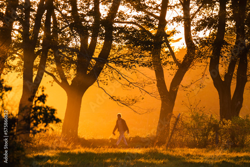 Lone man walking in natural scenery with trees at sunset along Parsons Beach Road, Kennebunk, Maine, USA photo