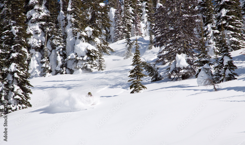 A backcountry skier a turn near Ymir, British Columbia. A backcountry skier a turn near Ymir, British Columbia.