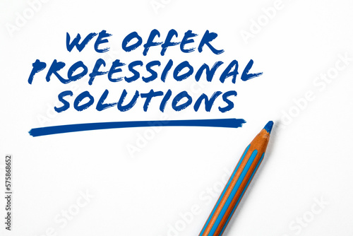 We offer professional solutions. Text and blue pencil on a white background