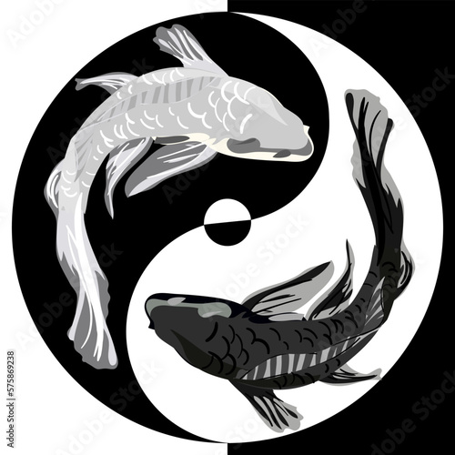 Koi jerks in the yin yang sign. White and black Asian carp in the symbol of life, movement, good and evil. Asian background, background design with an abstract pattern in Oriental style with koi fish.