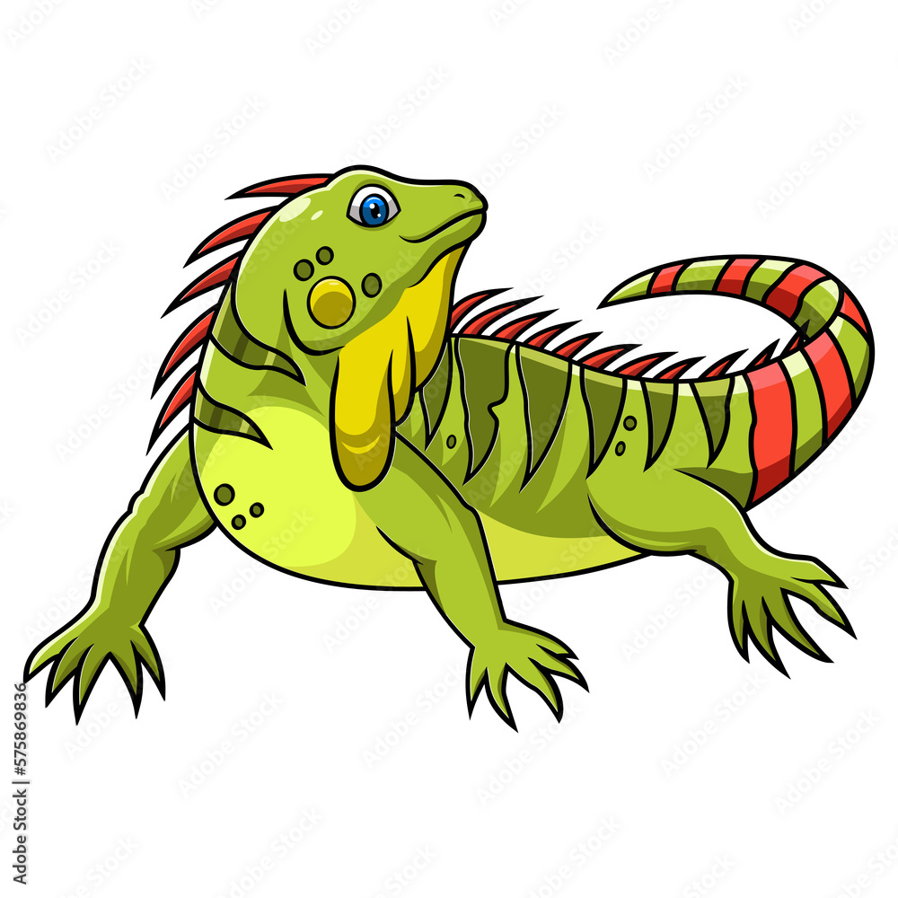 Cartoon iguana isolated on white background Cartoon iguana isolated on white background