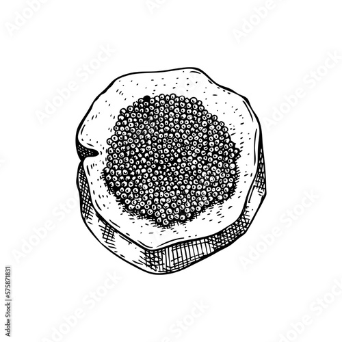 Hand-drawn sketch of caviar on a bread slice isolated on a white background. Black caviar canape vector drawing in engraved style. Seafood delicacy illustration for restaurant or finger food menu