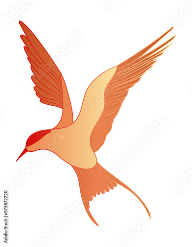 Oriental swallow bird
