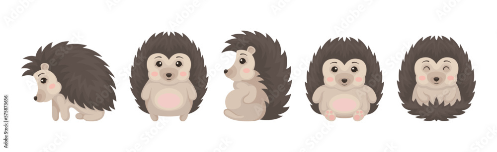 Cute Grey Hedgehog in Various Poses Vector Set Cute Grey Hedgehog in Various Poses Vector Set
