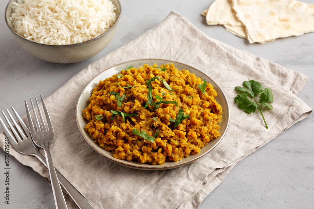 Homemade Red Lentil Dahl with Rice and Cilantro on a gray background, side view. Homemade Red Lentil Dahl with Rice and Cilantro on a gray background, side view.