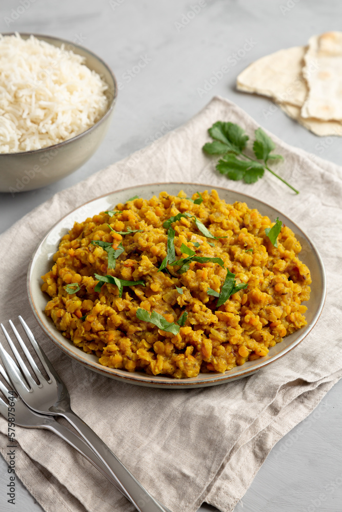 Homemade Red Lentil Dahl with Rice and Cilantro on a gray surface, side view. Homemade Red Lentil Dahl with Rice and Cilantro on a gray surface, side view.