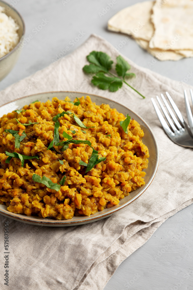 Homemade Red Lentil Dahl with Rice and Cilantro on a gray background, side view. Homemade Red Lentil Dahl with Rice and Cilantro on a gray background, side view.