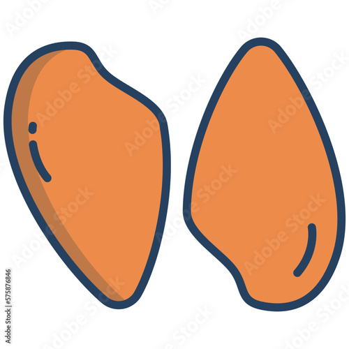 Chicken breast icon