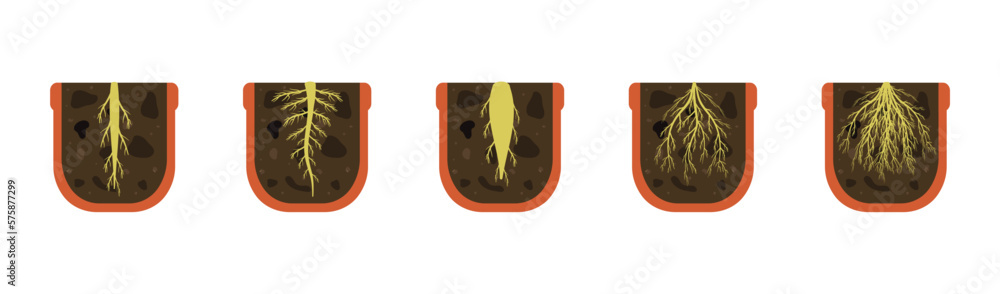Variety of root systems. Vector illustration of cut of the soil of ...