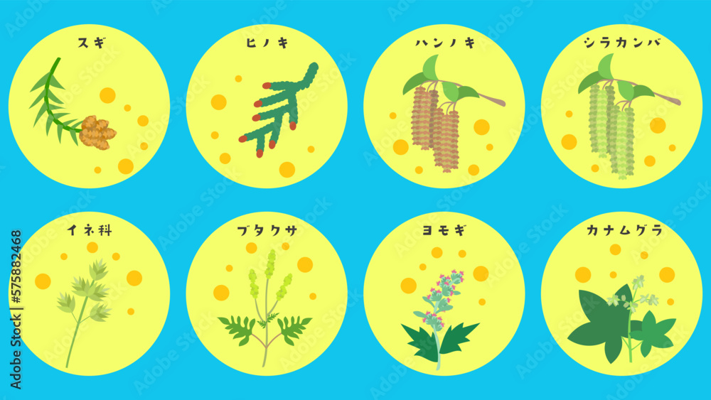 花粉症のアレルゲンとなる植物のイラスト素材セット。丸いアイコン。フラットなベクターイラストセット。 Illustration material set of plants that serve as allergens for hay fever. Round icons. Flat designed vector illustration set.