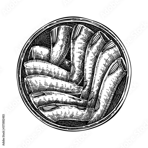 Hand drawn canned fish illustration. Sardines in olive oil vector drawing isolated on white background. Tinned sprats food sketch. Tin can with seafood for restaurant menu or product design.