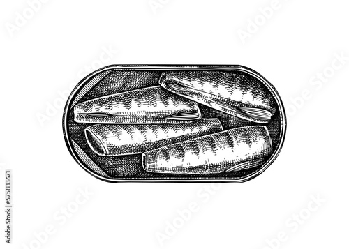 Hand drawn canned fish illustration. Mackerel in olive oil vector drawing isolated on white background. Tinned fish food sketch. Tin can with seafood for restaurant menu or product design