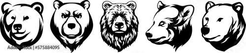 Head of bear. Abstract character illustration variant set. Graphic logo design template for emblem. Image of portrait.
