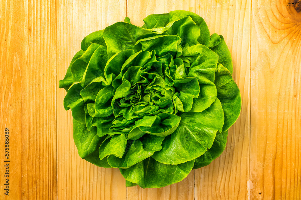 Single lettuce head over wooden table background Single lettuce head over wooden table background