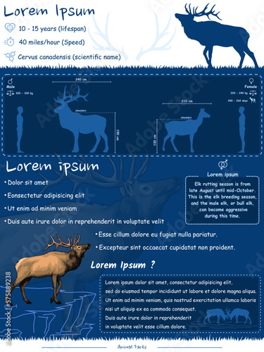 elk facts template