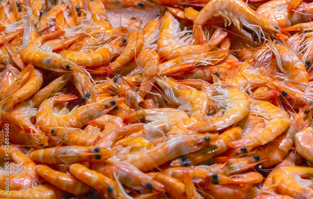 cooked shrimps cooked shrimps