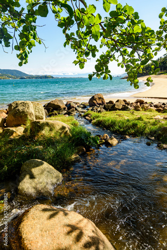 Natural pool shaded by trees  on a deserted beach surrounded by nature in Ilhabela