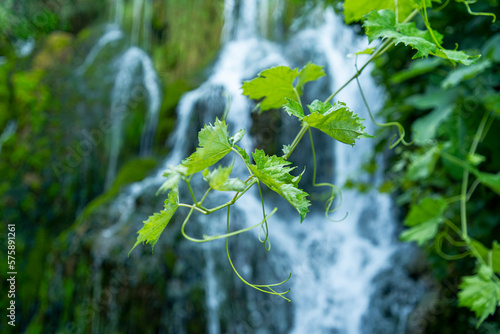 Obraz na płótnie Cascada de Tobera
