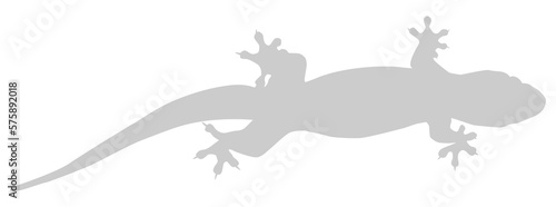 House Lizard also called House Gecko or Gekkonidae Silhouette for Art Illustration  Logo  Pictogram or Graphic Design Element. Format PNG