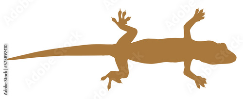 Fototapeta Naklejka Na Ścianę i Meble -  House Lizard also called House Gecko or Gekkonidae Silhouette for Art Illustration, Logo, Pictogram or Graphic Design Element. Format PNG