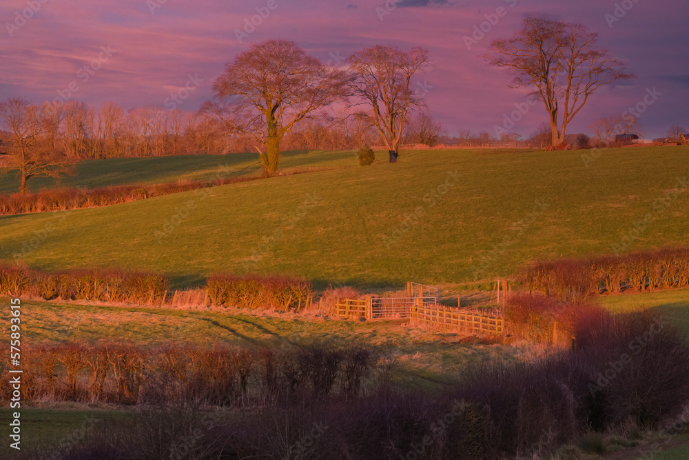 Beautiful Scottish Farmlands with farming fields and gates at the heart of Burns country in Irvine Scotland and at sunset